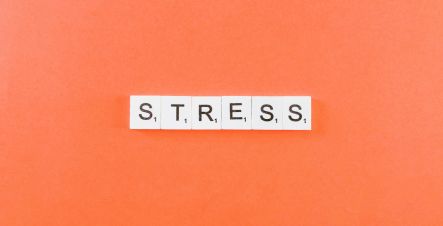 Professions juridiques, gérez votre stress grâce aux Techniques d’Optimisation du Potentiel (TOP)